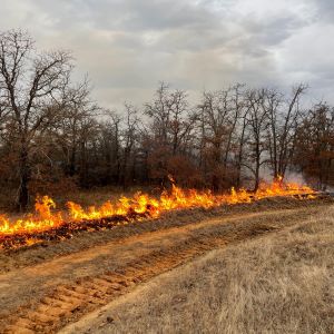 Wildfire potential March 1